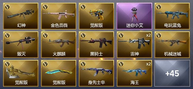 穿越火线（CF）45V武器 1V角色 17皮肤 可排位 枪王