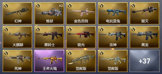 穿越火线（CF）4王者武器 2炫金武器 42V武器 16皮肤 可排位 宗师