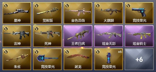 穿越火线（CF）1王者武器 2炫金武器 28V武器 2皮肤 可排位 枪王