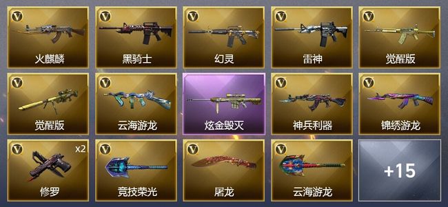 穿越火线（CF）1炫金武器 30V武器 4皮肤 可排位 新锐