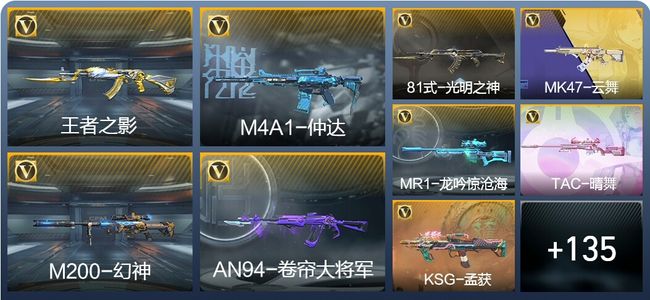 穿越火线：枪战王者V1 2王者武器 164英雄武器 6英雄角色 296万化 枪皇SSS