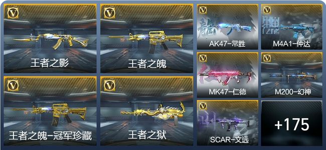穿越火线：枪战王者V8 33王者武器 249英雄武器 新锐