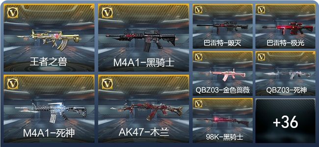 穿越火线：枪战王者V1 1王者武器 55英雄武器 新锐