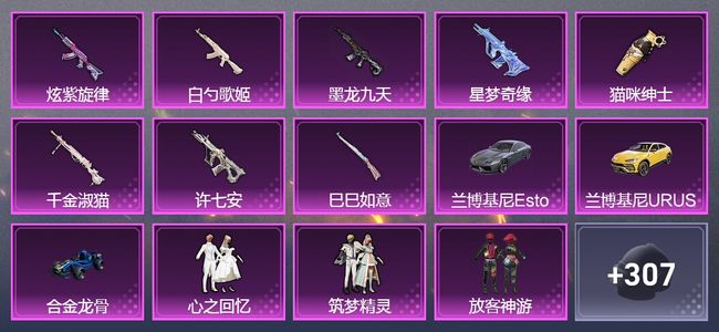 和平精英【苹果版】3载具 14升级枪 16粉装 3飞行器 209套装 91822热力 10印记