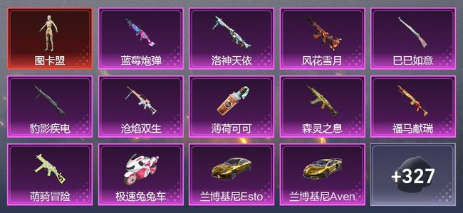 和平精英8载具 10升级枪 17粉装 9尾迹 189套装 101788热力 20印记