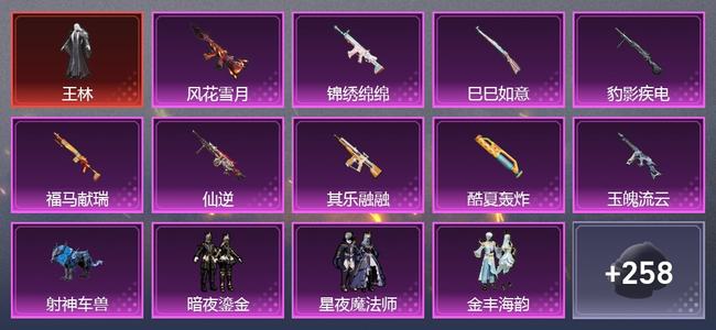 和平精英【苹果版】1载具 9升级枪 6粉装 6尾迹 159套装 75595热力 6印记