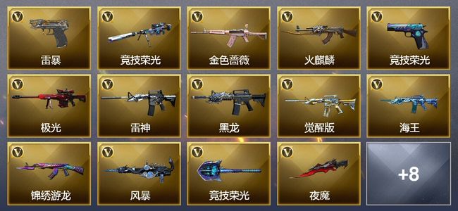 穿越火线（CF）21V武器 1V角色 3皮肤 可排位 精英