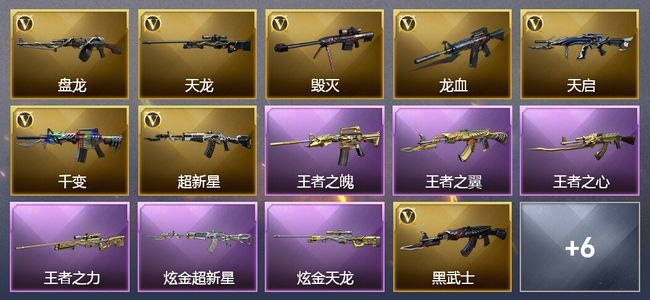 穿越火线（CF）4王者武器 2炫金武器 20V武器 14V角色 2皮肤 可排位