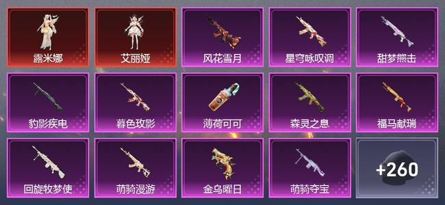 和平精英【苹果版】1载具 12升级枪 9粉装 12尾迹 108套装 54664热力 4印记