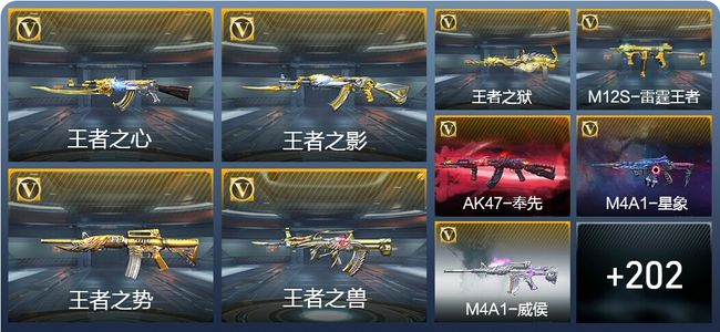 穿越火线：枪战王者V8 26王者武器 295英雄武器 新锐