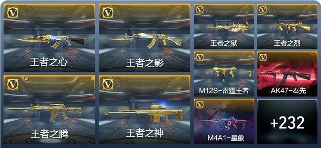 穿越火线：枪战王者V8 27王者武器 304英雄武器 新锐