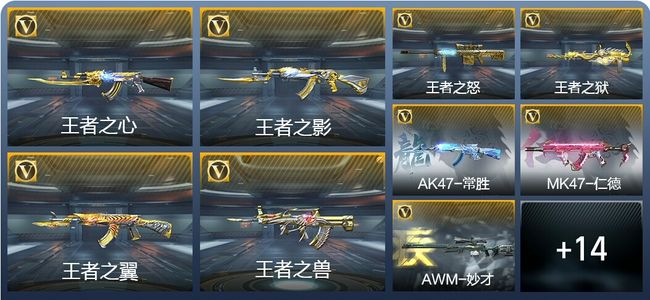 穿越火线：枪战王者V8 20王者武器 88英雄武器 新锐