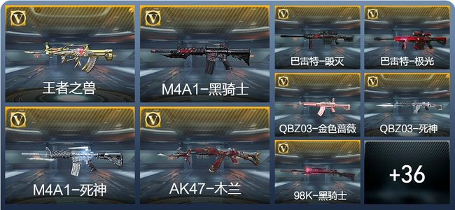 穿越火线：枪战王者V1 1王者武器 55英雄武器 新锐