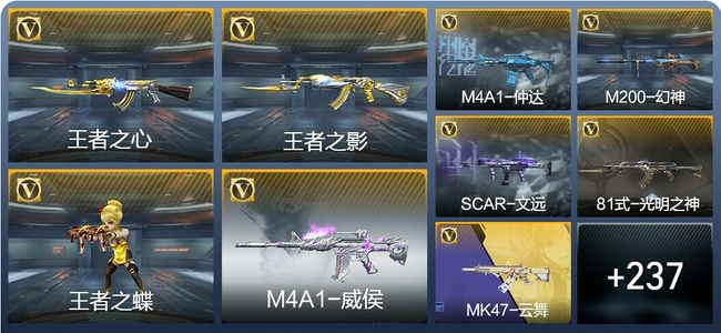 穿越火线：枪战王者V5 18王者武器 246英雄武器 9英雄角色 321万化 枪皇SS