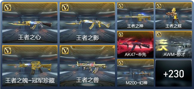 穿越火线：枪战王者V8 14王者武器 239英雄武器 12英雄角色 397万化 枪皇SSS