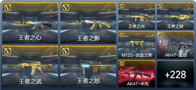 穿越火线：枪战王者20王者武器 237英雄武器 10英雄角色 371万化 专家S