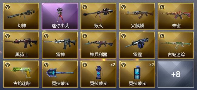 穿越火线（CF）19V武器 11皮肤 可排位 传奇