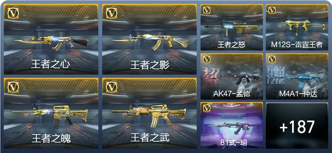 穿越火线：枪战王者18王者武器 196英雄武器 4英雄角色 373万化 枪王SSS