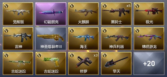 穿越火线（CF）19V武器 1V角色 3皮肤 可排位 新锐