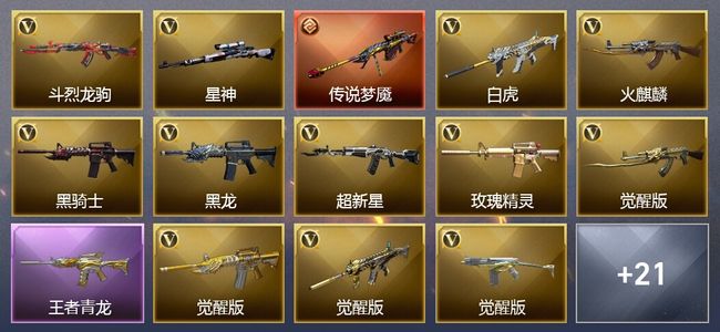 穿越火线（CF）1传说武器 2王者武器 2炫金武器 29V武器 3皮肤 可排位 新锐