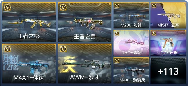 穿越火线：枪战王者V6 2王者武器 125英雄武器 5英雄角色 347万化 专家S