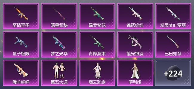 和平精英16升级枪 5粉装 253枪皮 170套装 星钻