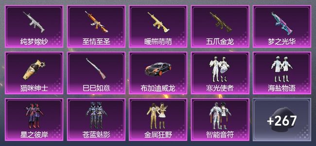 和平精英2载具 14升级枪 18粉装 311枪皮 223套装 0印记