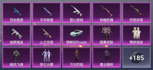 和平精英1载具 8升级枪 6粉装 159枪皮 113套装 0印记