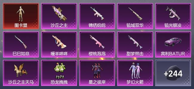 和平精英【苹果版】1载具 22升级枪 11粉装 0尾迹 203套装 0热力 0印记