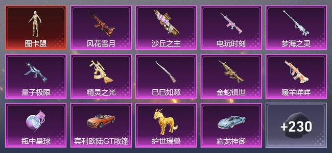 和平精英【苹果版】3载具 16升级枪 11粉装 0尾迹 210套装 0热力 0印记