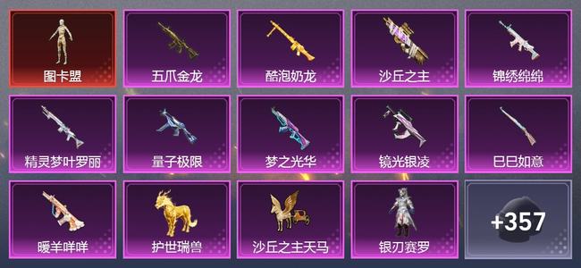 和平精英1载具 16升级枪 13粉装 0尾迹 281套装 0热力 0印记