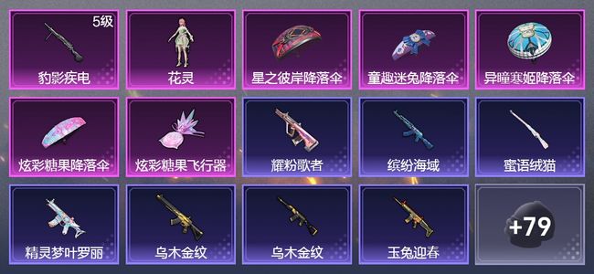 和平精英1升级枪 1粉装 48枪皮 49套装 14472热力 2印记 王牌