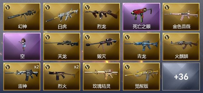 穿越火线（CF）1王者武器 54V武器 13皮肤 可排位 新锐