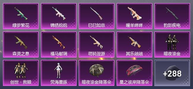 和平精英【苹果版】0载具 9升级枪 4粉装 0尾迹 122套装 51507热力 14印记