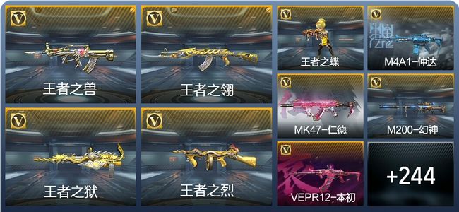 穿越火线：枪战王者31王者武器 253英雄武器 9英雄角色 383万化 专家S