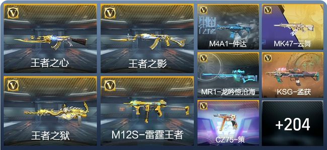 穿越火线：枪战王者V6 11王者武器 237英雄武器 4英雄角色 471万化 枪皇SS
