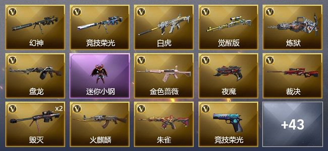 穿越火线（CF）2王者武器 3炫金武器 42V武器 2V角色 15皮肤 可排位 新锐