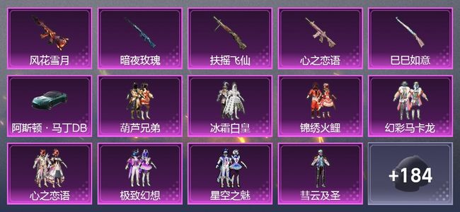 和平精英1载具 5升级枪 10粉装 3尾迹 106套装 5,2106热力 1印记