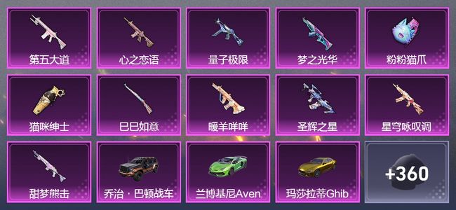 和平精英4载具 11升级枪 25粉装 202套装 97634热力 11印记