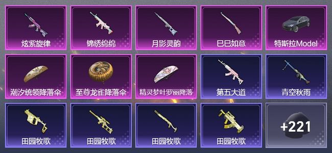 和平精英1载具 5升级枪 1粉装 171套装 62649热力 12印记