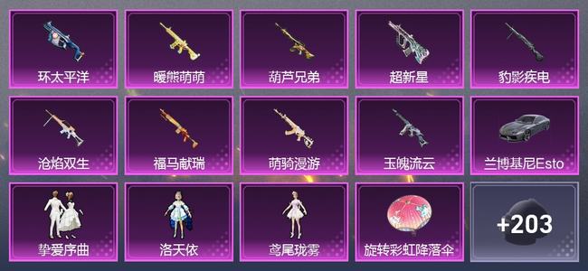 和平精英1载具 9升级枪 3粉装 0尾迹 198枪皮 115套装 58541热力 10印记