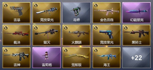 穿越火线（CF）25V武器 2V角色 9皮肤 可排位 枪王