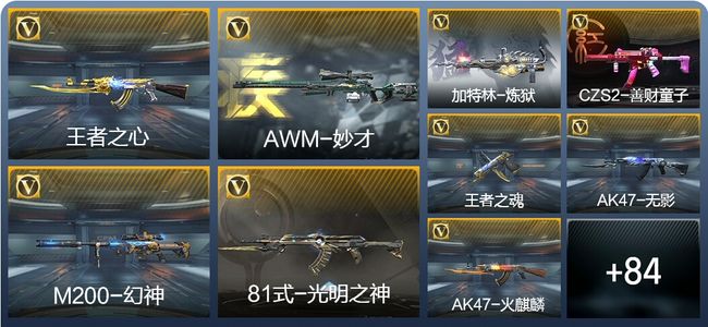 穿越火线：枪战王者V11 3王者武器 100英雄武器 2英雄角色 113万化 枪王