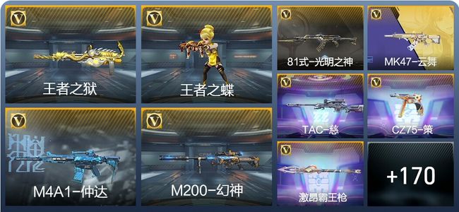 穿越火线：枪战王者10王者武器 179英雄武器 5英雄角色 299万化 枪王S