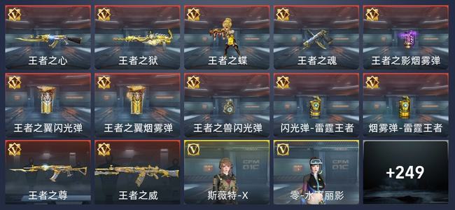 穿越火线：枪战王者V5 12王者 251英雄武器 12英雄角色 511万化 专家S