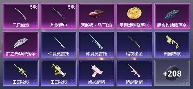 和平精英1载具 2升级枪 144枪皮 94套装 40604热力 6印记