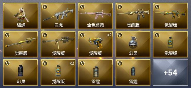 穿越火线（CF）6王者武器 42V武器 1V角色 30皮肤 可排位 新锐
