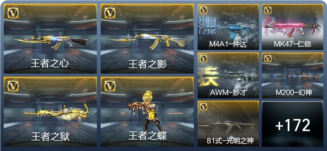 穿越火线：枪战王者V4 8王者武器 199英雄武器 6英雄角色 310万化 枪王S