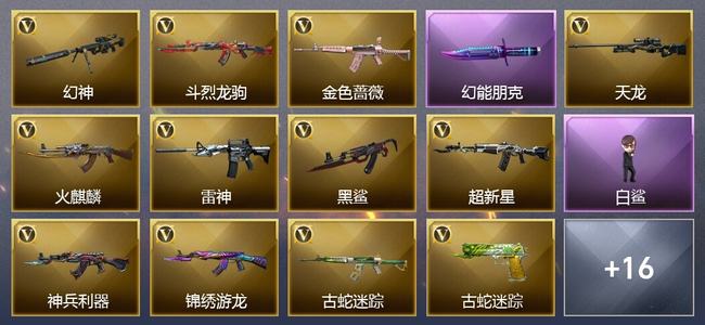 穿越火线（CF）24V武器 1V角色 11皮肤 可排位 传奇