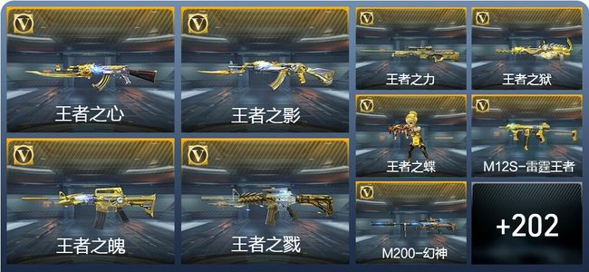 穿越火线：枪战王者V8 33王者武器 233英雄武器 4英雄角色 314万化 枪王SSS